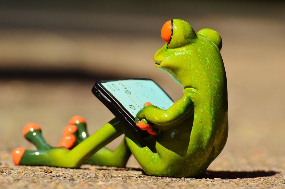 frog.jpg