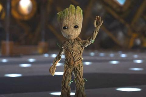 Bebe_Groot_large.jpg